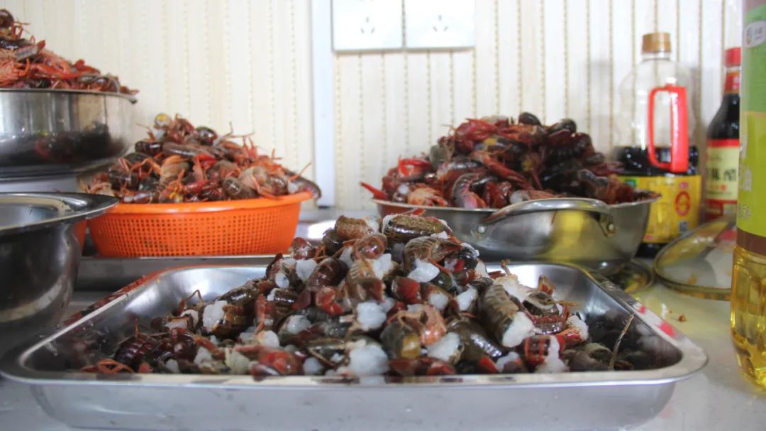 24_1080 × 607_87.4 KB.jpg 24_1080 × 607_87.4 KB.jpg